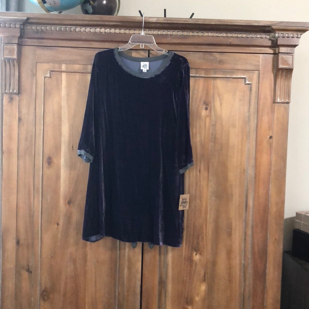 Ivy jane velvet dress